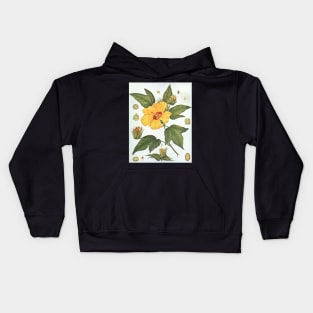 Botanical image of a Sea Island Cotton (Gossypium barbadense) flower Kids Hoodie